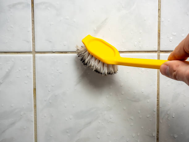 Best Home Mold Removal  in Rio Del Mar, CA