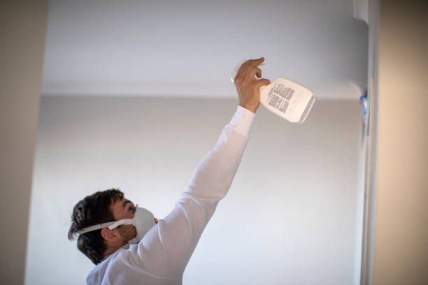 Best Certified Mold Removal  in Rio Del Mar, CA
