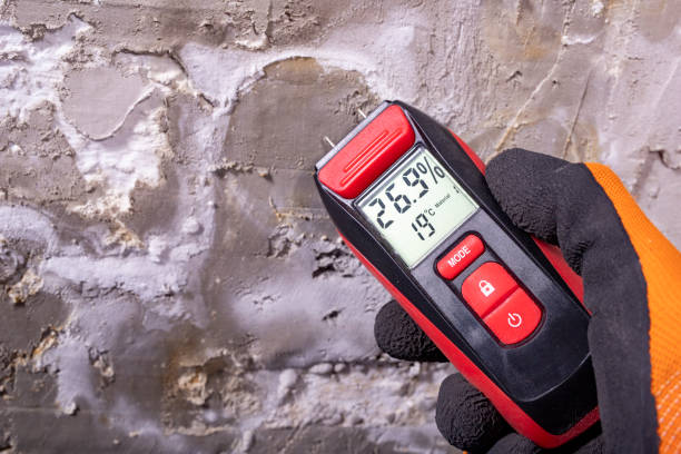 Best Best Mold Removal Companies  in Rio Del Mar, CA