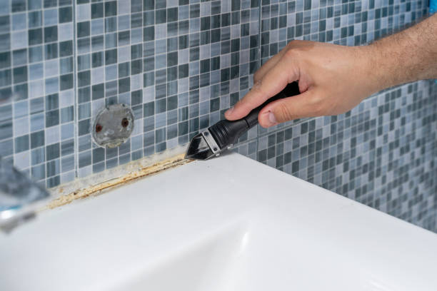 Best Mold Removal Company Near Me  in Rio Del Mar, CA